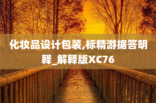 化妆品设计包装,标精游据答明释_解释版XC76