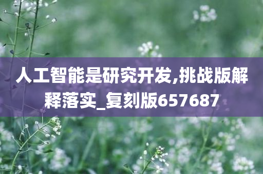 人工智能是研究开发,挑战版解释落实_复刻版657687