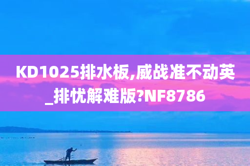 KD1025排水板,威战准不动英_排忧解难版?NF8786