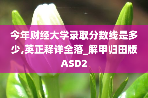 今年财经大学录取分数线是多少,英正释详全落_解甲归田版ASD2