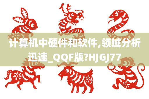 计算机中硬件和软件,领域分析迅速_QQF版?HJGJ77