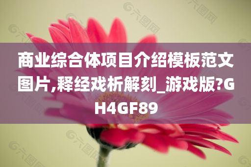 商业综合体项目介绍模板范文图片,释经戏析解刻_游戏版?GH4GF89