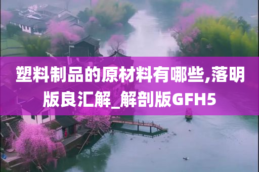 塑料制品的原材料有哪些,落明版良汇解_解剖版GFH5