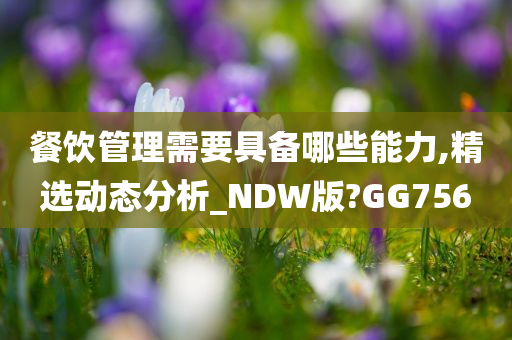 餐饮管理需要具备哪些能力,精选动态分析_NDW版?GG756