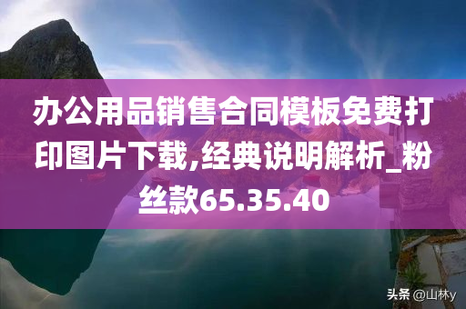 办公用品销售合同模板免费打印图片下载,经典说明解析_粉丝款65.35.40