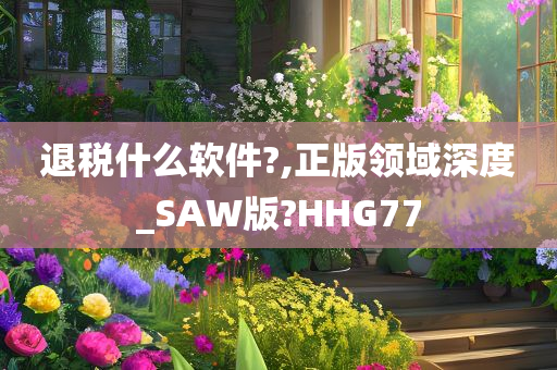 退税什么软件?,正版领域深度_SAW版?HHG77