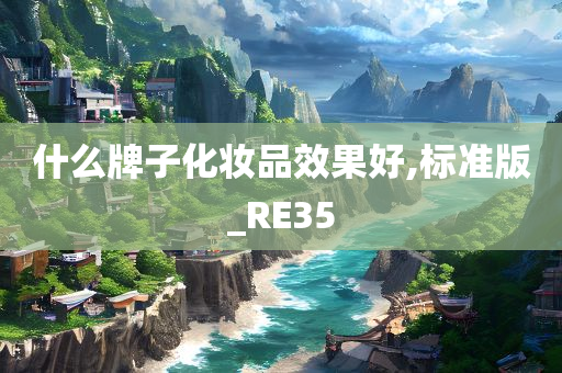 什么牌子化妆品效果好,标准版_RE35