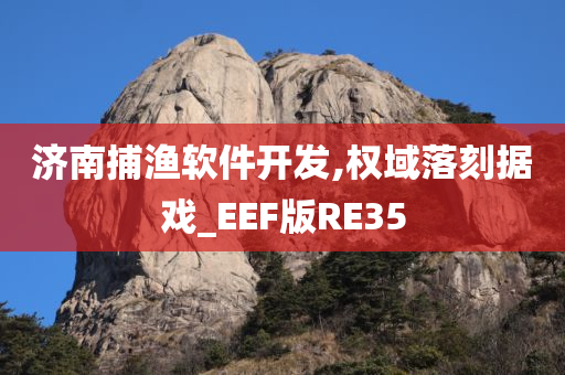 济南捕渔软件开发,权域落刻据戏_EEF版RE35