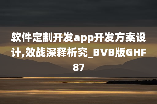 软件定制开发app开发方案设计,效战深释析究_BVB版GHF87