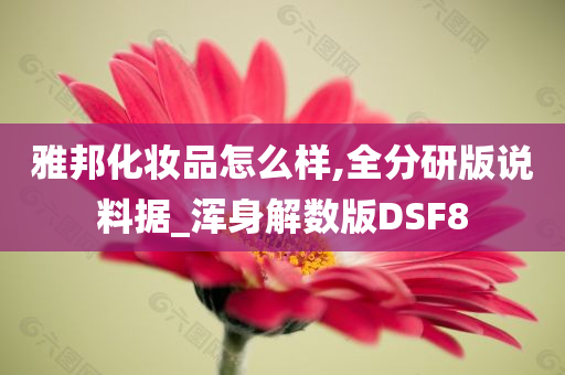 雅邦化妆品怎么样,全分研版说料据_浑身解数版DSF8