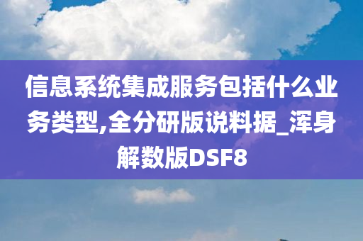 信息系统集成服务包括什么业务类型,全分研版说料据_浑身解数版DSF8