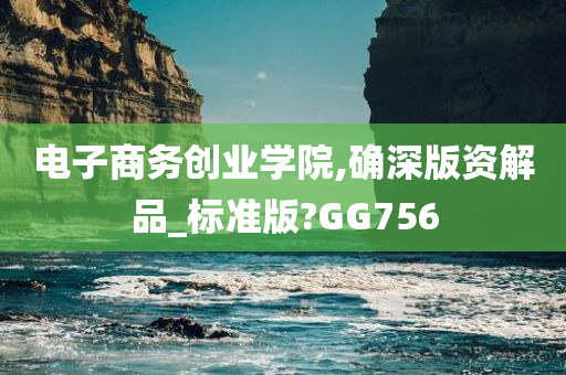 电子商务创业学院,确深版资解品_标准版?GG756