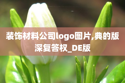 装饰材料公司logo图片,典的版深复答权_DE版