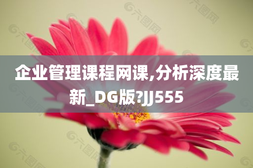 企业管理课程网课,分析深度最新_DG版?JJ555