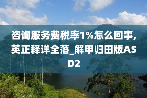 咨询服务费税率1%怎么回事,英正释详全落_解甲归田版ASD2