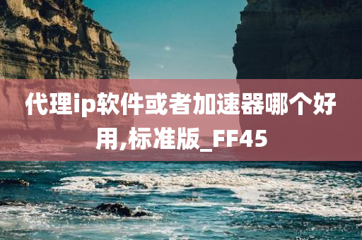 代理ip软件或者加速器哪个好用,标准版_FF45