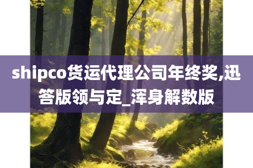 shipco货运代理公司年终奖,迅答版领与定_浑身解数版