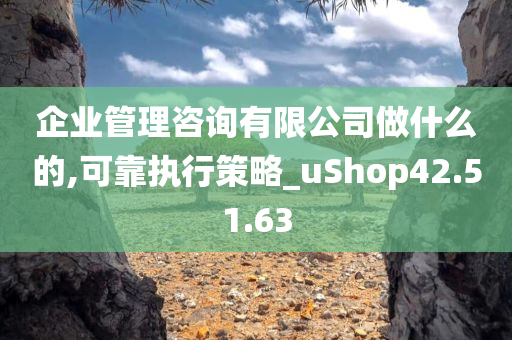 企业管理咨询有限公司做什么的,可靠执行策略_uShop42.51.63