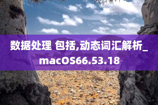 数据处理 包括,动态词汇解析_macOS66.53.18