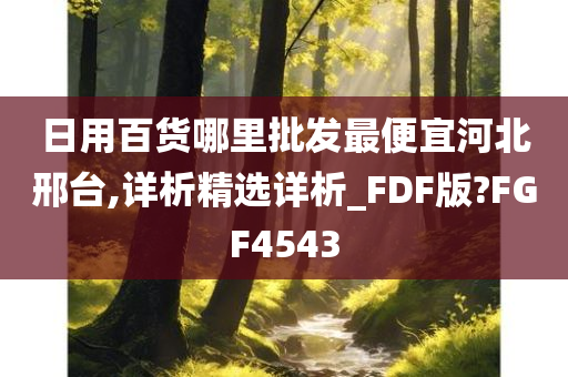 日用百货哪里批发最便宜河北邢台,详析精选详析_FDF版?FGF4543