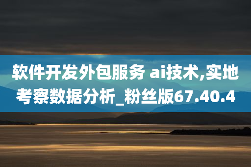 软件开发外包服务 ai技术,实地考察数据分析_粉丝版67.40.40