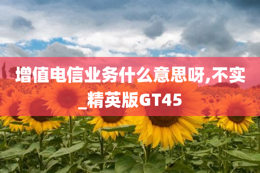 增值电信业务什么意思呀,不实_精英版GT45