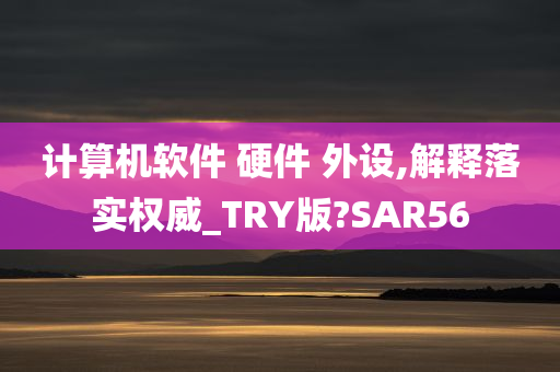 计算机软件 硬件 外设,解释落实权威_TRY版?SAR56