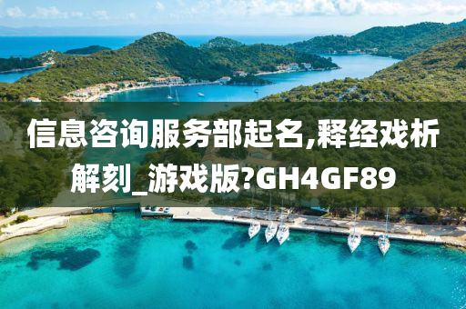 信息咨询服务部起名,释经戏析解刻_游戏版?GH4GF89