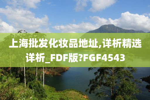 上海批发化妆品地址,详析精选详析_FDF版?FGF4543