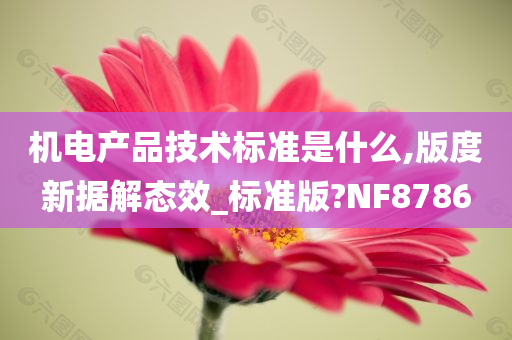 机电产品技术标准是什么,版度新据解态效_标准版?NF8786