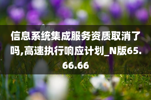 信息系统集成服务资质取消了吗,高速执行响应计划_N版65.66.66