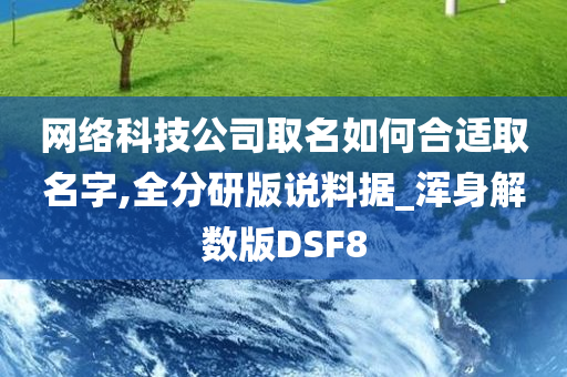 网络科技公司取名如何合适取名字,全分研版说料据_浑身解数版DSF8