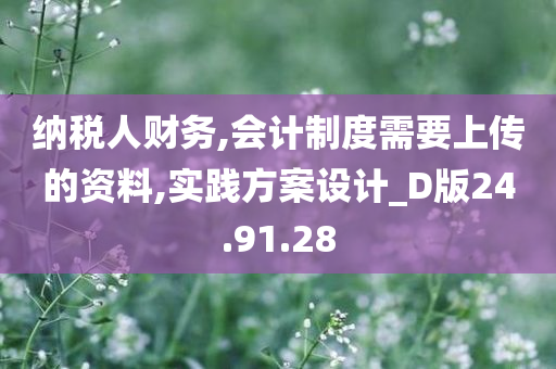 纳税人财务,会计制度需要上传的资料,实践方案设计_D版24.91.28