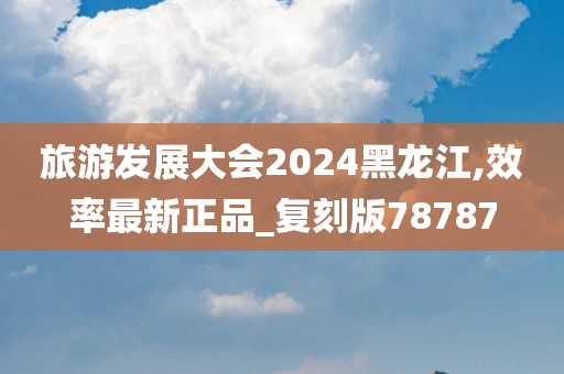 旅游发展大会2024黑龙江,效率最新正品_复刻版78787