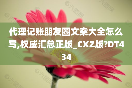 代理记账朋友圈文案大全怎么写,权威汇总正版_CXZ版?DT434