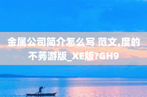 金属公司简介怎么写 范文,度的不莠游版_XE版?GH9