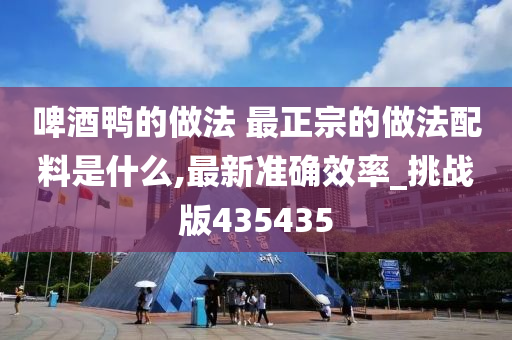 啤酒鸭的做法 最正宗的做法配料是什么,最新准确效率_挑战版435435