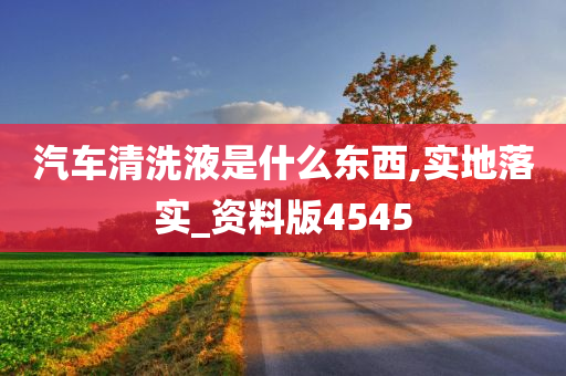 汽车清洗液是什么东西,实地落实_资料版4545