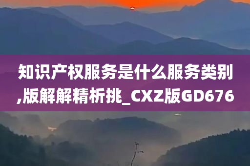 知识产权服务是什么服务类别,版解解精析挑_CXZ版GD676