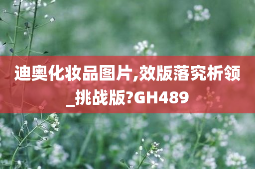 迪奥化妆品图片,效版落究析领_挑战版?GH489