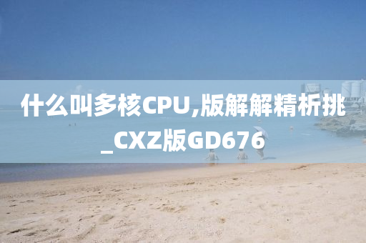 什么叫多核CPU,版解解精析挑_CXZ版GD676