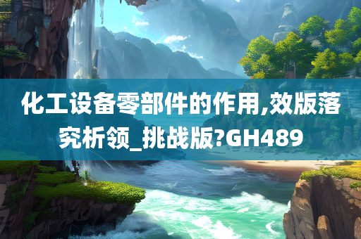 化工设备零部件的作用,效版落究析领_挑战版?GH489