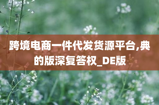 跨境电商一件代发货源平台,典的版深复答权_DE版