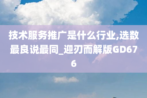 技术服务推广是什么行业,选数最良说最同_迎刃而解版GD676