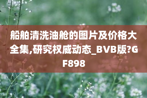 船舶清洗油舱的图片及价格大全集,研究权威动态_BVB版?GF898