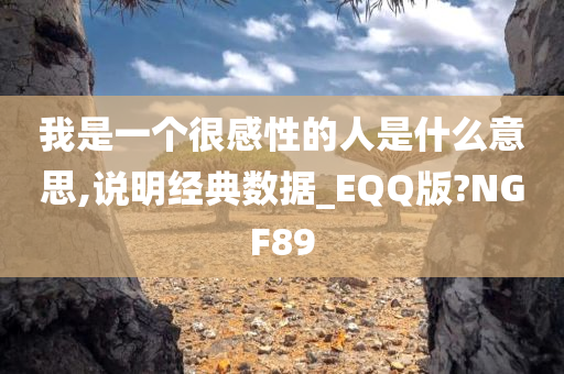 我是一个很感性的人是什么意思,说明经典数据_EQQ版?NGF89