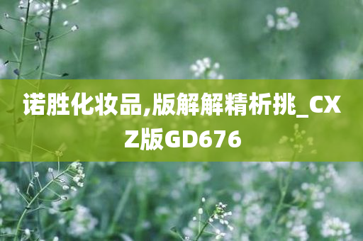 诺胜化妆品,版解解精析挑_CXZ版GD676