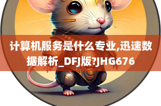 计算机服务是什么专业,迅速数据解析_DFJ版?JHG676