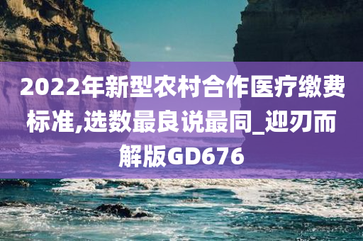 2022年新型农村合作医疗缴费标准,选数最良说最同_迎刃而解版GD676