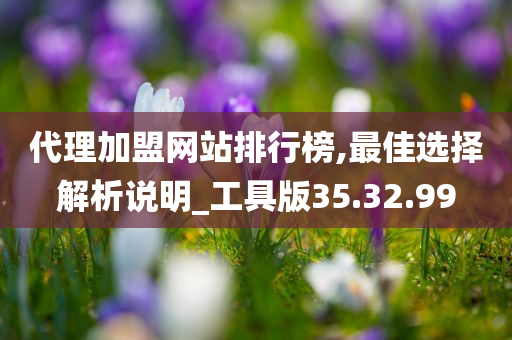 代理加盟网站排行榜,最佳选择解析说明_工具版35.32.99